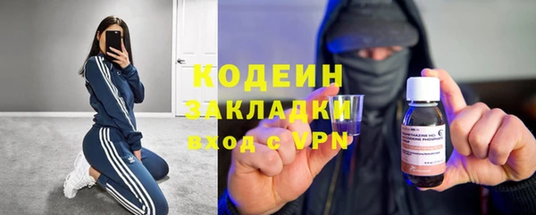 дмт Лиски