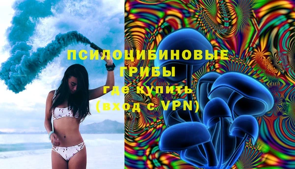дмт Лиски