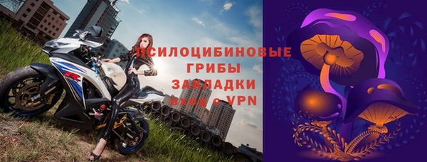 дмт Лиски