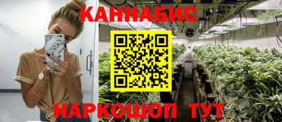 сатива Апшеронск