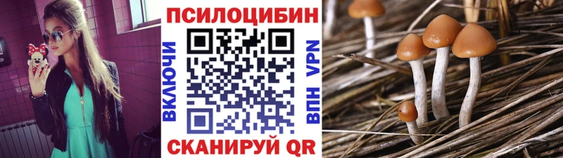 продажа наркотиков  hydra ССЫЛКА  Псилоцибиновые грибы MAGIC MUSHROOMS  Можга 