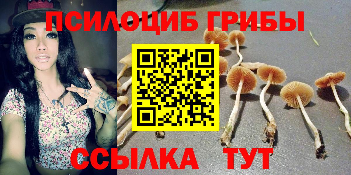 Галлюциногенные грибы Psilocybine cubensis Можга