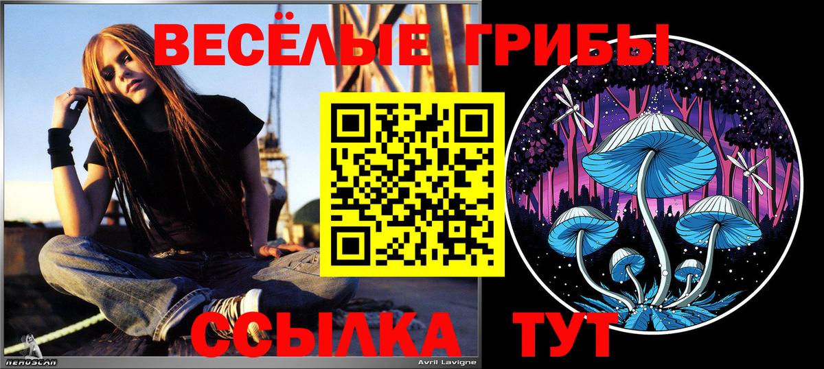 Псилоцибиновые грибы MAGIC MUSHROOMS  Можга  Псилоцибиновые грибы Magic Shrooms 