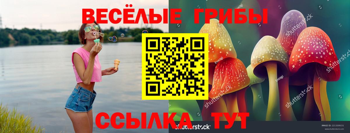 Cocaine  ГАШ  Мефедрон кристаллы  Вход с VPN  Можга  ГАШИШ 